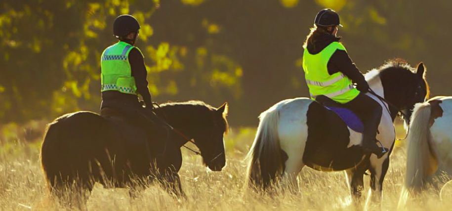 Horse safety on the roads in Australia